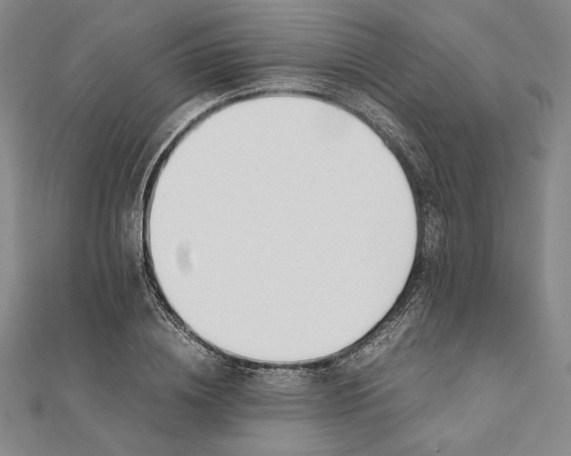 X0000112050836200908250957