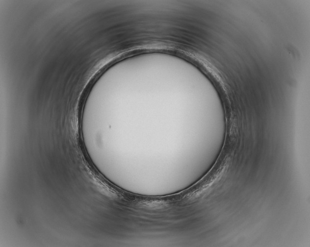 X0000112050837200908250957