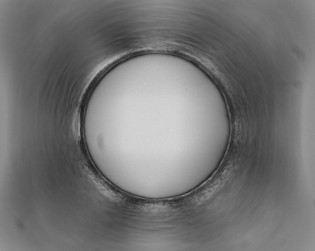 X0000112050838200908250957