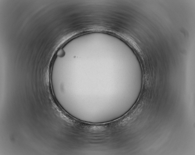 X0000112050839200908250957