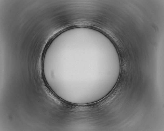 X0000112050840200908250957