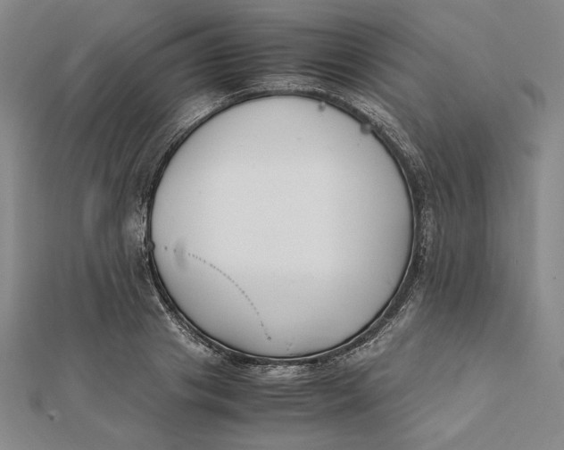 X0000112050841200908250957