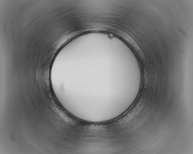 X0000112050842200908250957