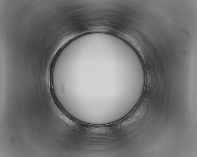 X0000112050843200908250957