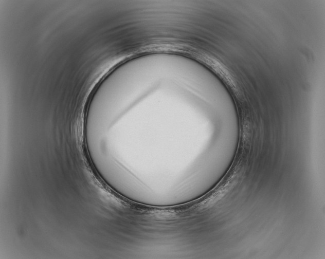 X0000112050844200908250957