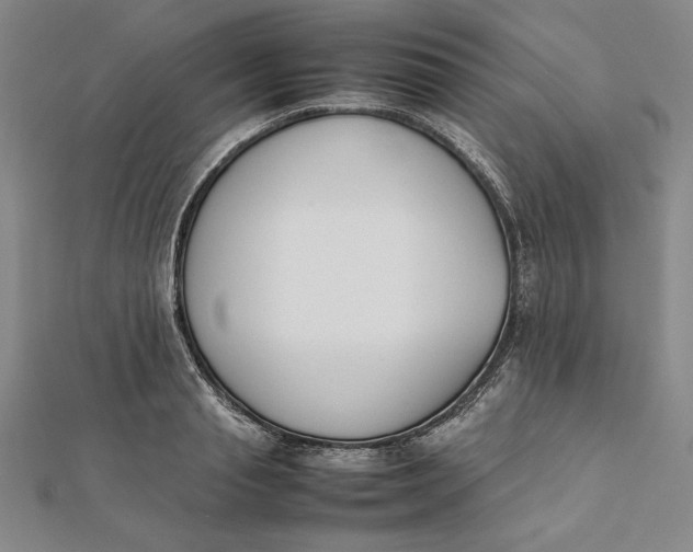 X0000112050845200908250957