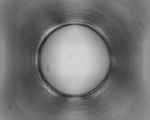 X0000112050846200908250957