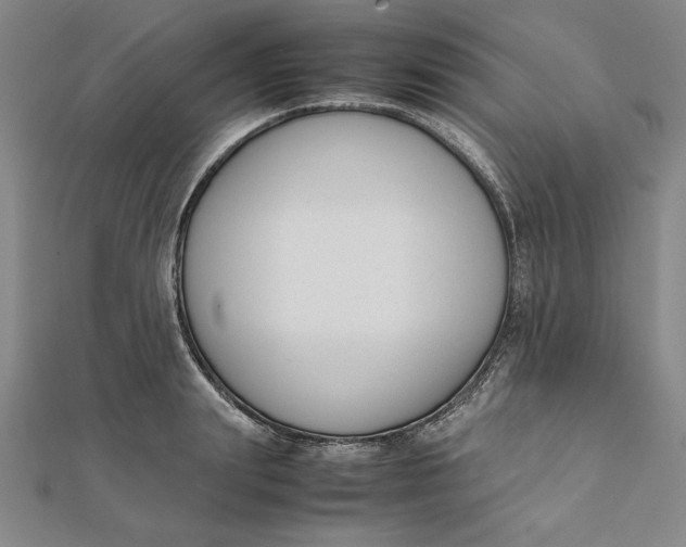 X0000112050847200908250957