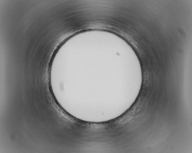 X0000112050848200908250957