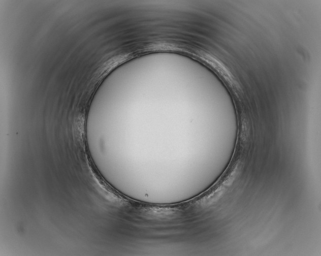 X0000112050849200908250957