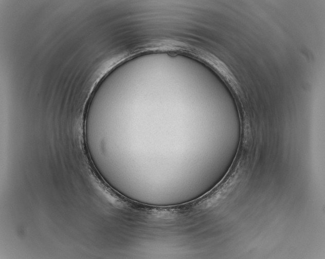 X0000112050850200908250957