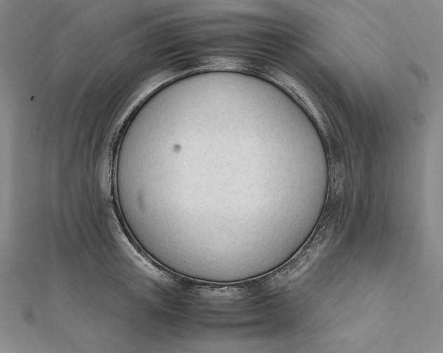 X0000112050851200908250957