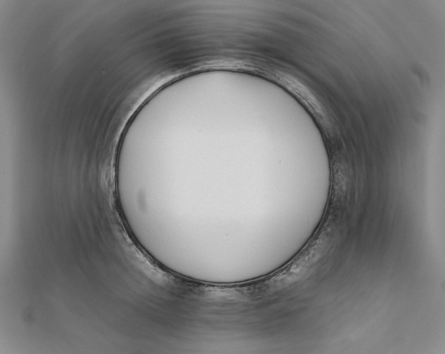 X0000112050852200908250957