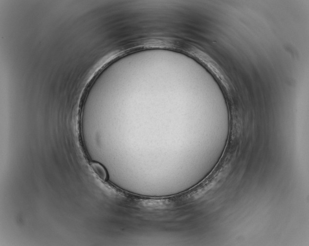 X0000112050853200908250957