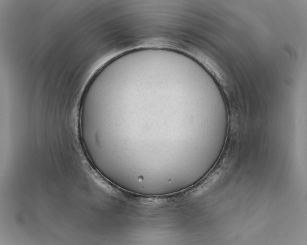 X0000112050854200908250957