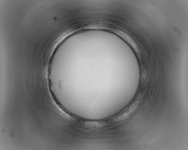 X0000112050855200908250957