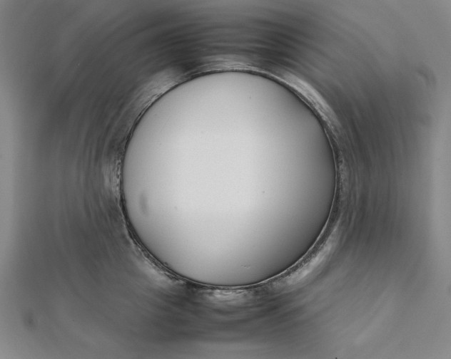 X0000112050857200908250957