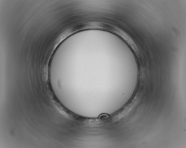 X0000112050858200908250957