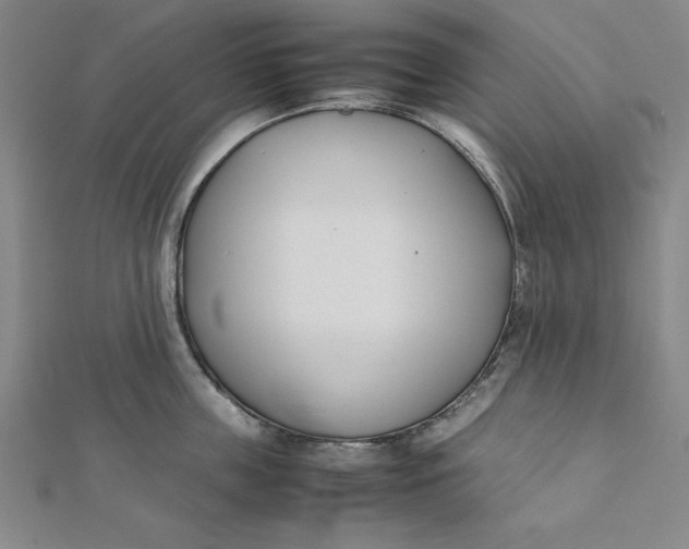 X0000112050859200908250957