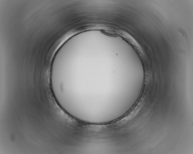 X0000112050860200908250957