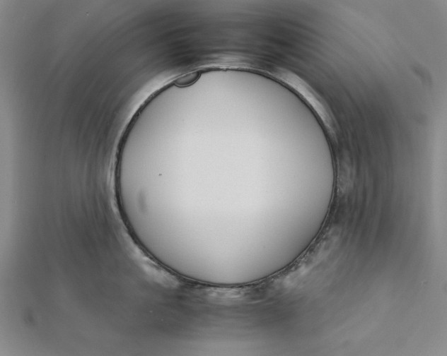 X0000112050861200908250957