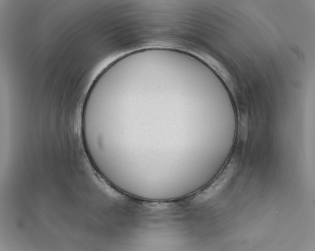 X0000112050862200908250957