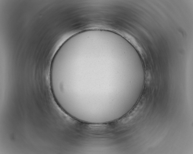 X0000112050863200908250957