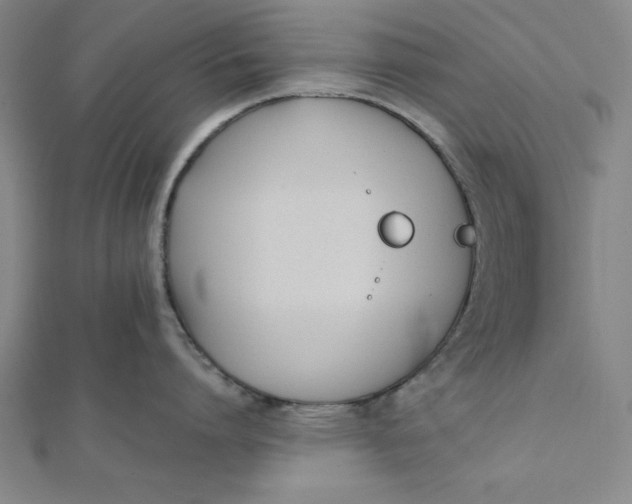 X0000112050864200908250957