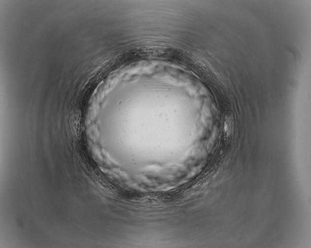 X0000112050867200908250956