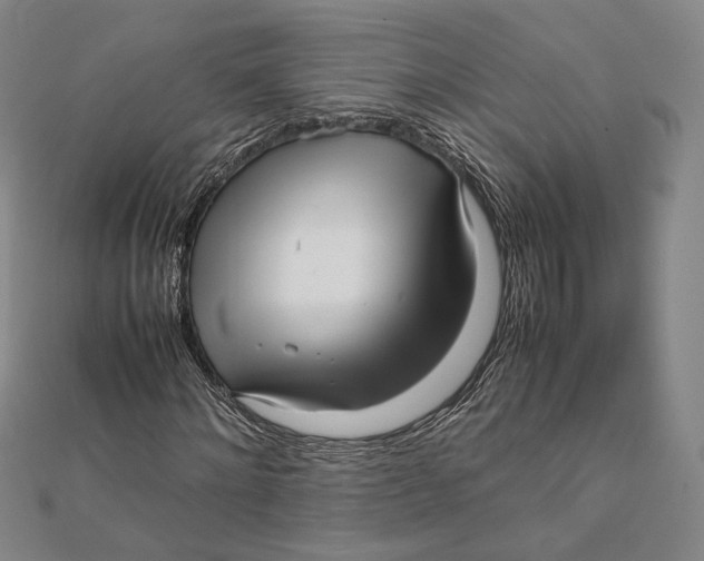 X0000112050868200908250956