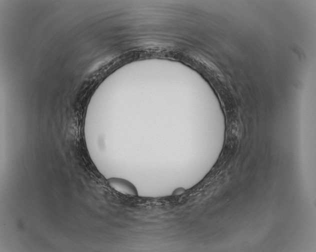 X0000112050869200908250956