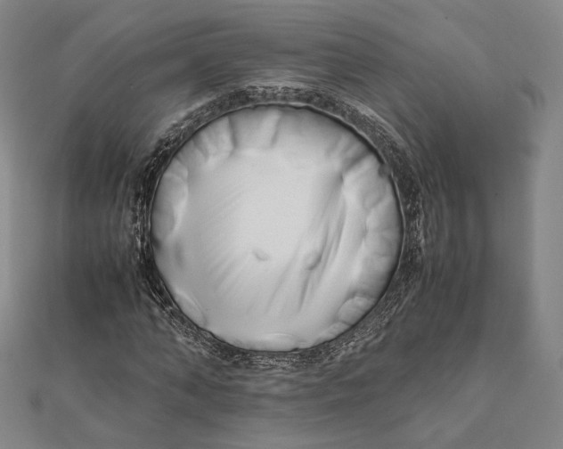 X0000112050870200908250956