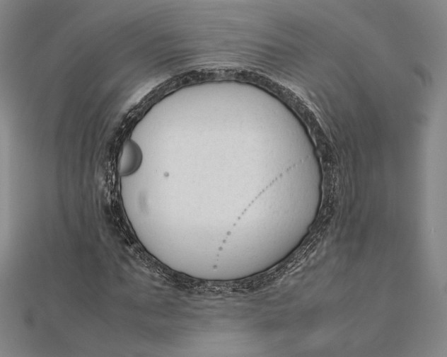 X0000112050871200908250956