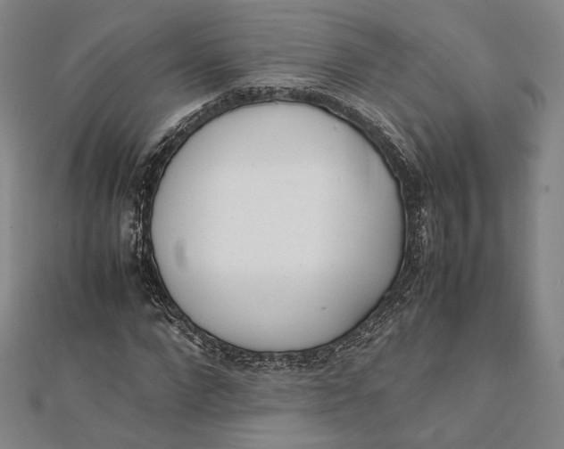 X0000112050872200908250956