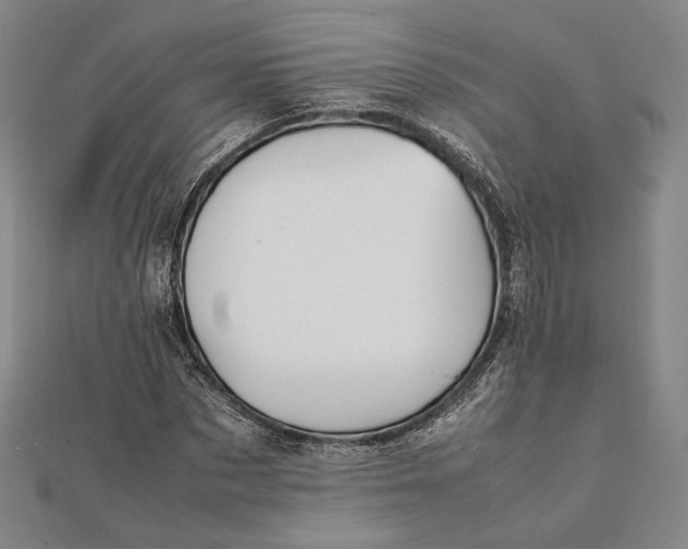 X0000112050873200908250956