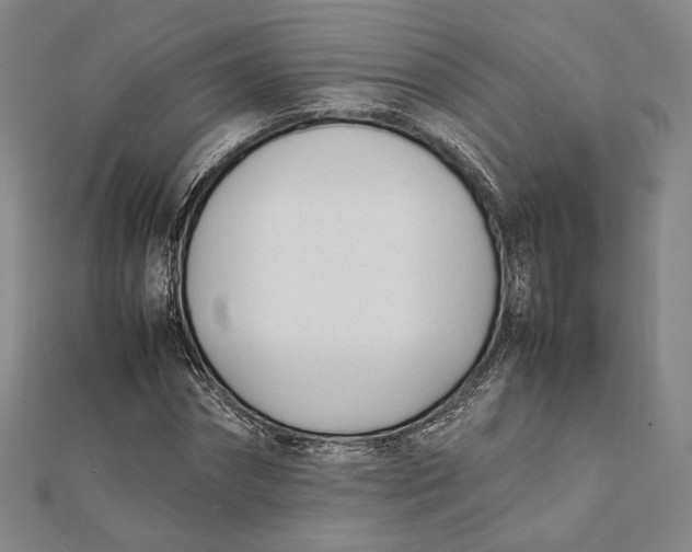 X0000112050874200908250956