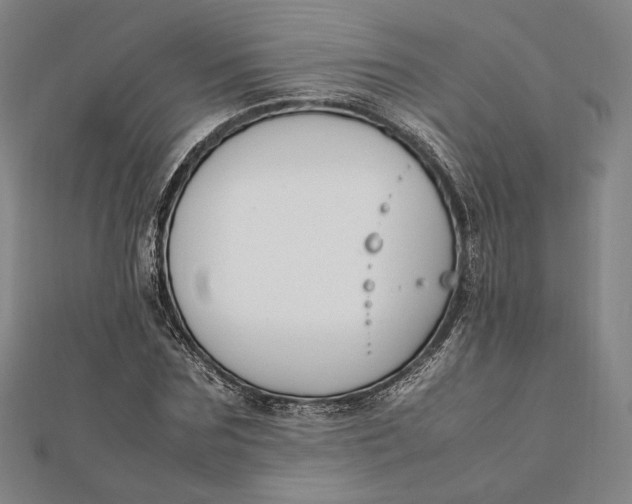 X0000112050875200908250956