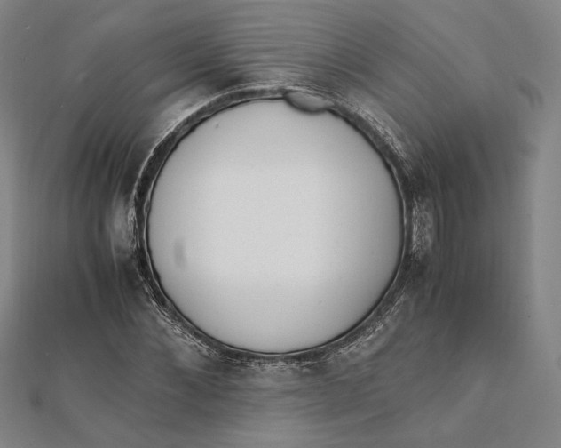 X0000112050876200908250956