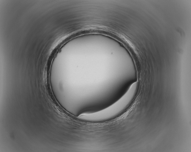 X0000112050877200908250956