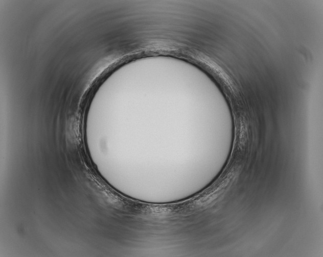 X0000112050878200908250956