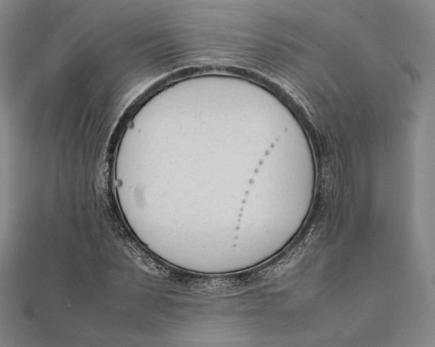 X0000112050879200908250956