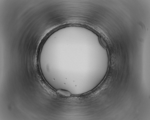 X0000112050880200908250956