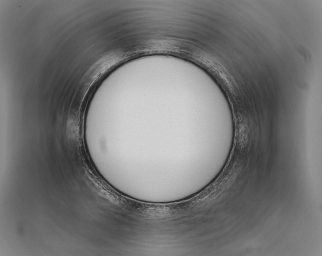 X0000112050882200908250956