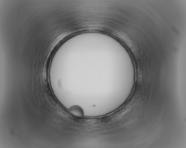 X0000112050883200908250956