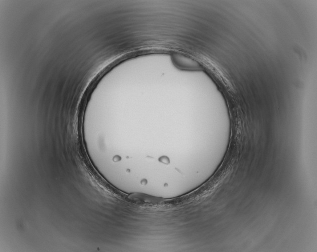 X0000112050884200908250956