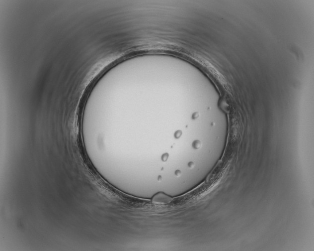 X0000112050885200908250956