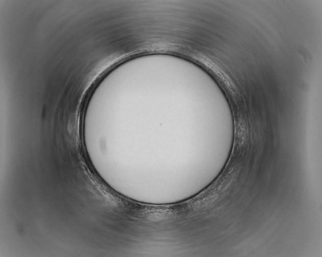 X0000112050886200908250956