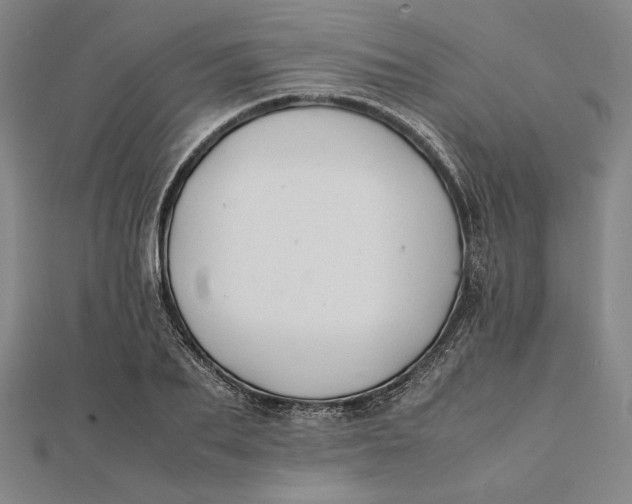 X0000112050887200908250956