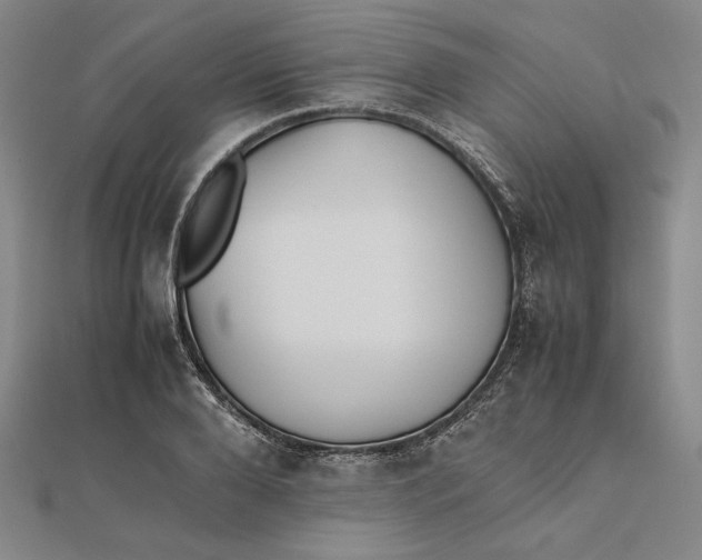 X0000112050888200908250956