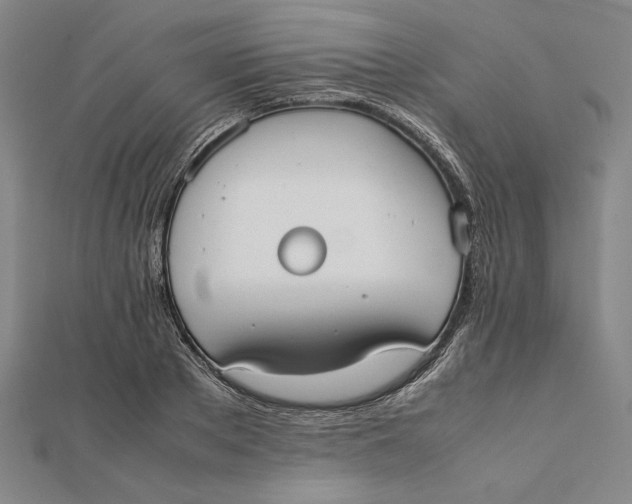 X0000112050889200908250956